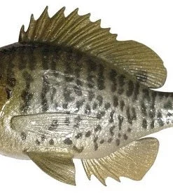 Huddleston Deluxe Soft Body Bluegill Top Hook