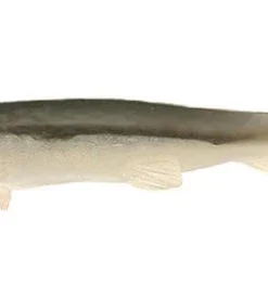 3:16 Lure Company Paddletail Swimbaits Minnow 33 3:16 Lure Company Paddletail Swimbaits Minnow