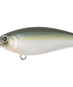 Bottom Up Reazzy Shallow Diving (0-7ft.)