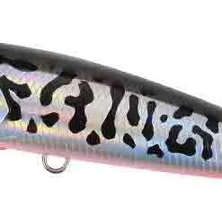 Duo Realis Fang Pop Poppers