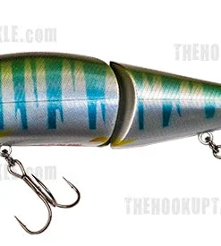 Gan Craft Jointed Claw Hard Body