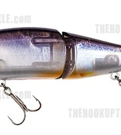 Gan Craft Jointed Claw Hard Body