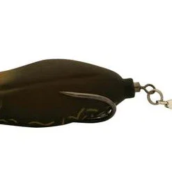 Teckel Maracker Frog Frogs