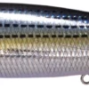 Megabass Megadog