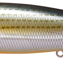 Megabass Megadog