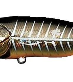 Megabass Pop Max 69 Megabass Pop Max