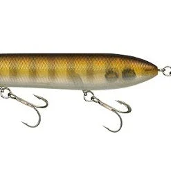 Evergreen USA Walking SB Topwater