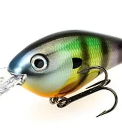 Strike King Pro Model 8XD Crankbaits