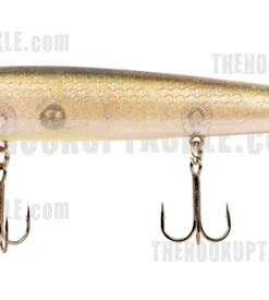 Smithwick Perfect 10 Rogue