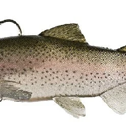 Huddleston Deluxe Soft Body 8 Inch Swimbaits