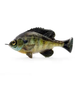 Savage Gear Pulse Tail LB Bluegill