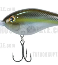Strike King Pro Model 6XD Crankbaits