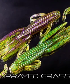 Reaction Innovations Creatures Man Bear Pig