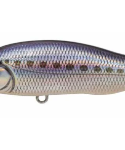 Megabass X-80 Trick Darter