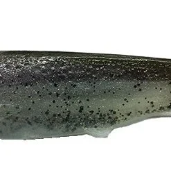 Optimum Baits Butch Brown Thumper Tail