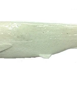 Optimum Baits Butch Brown Thumper Tail