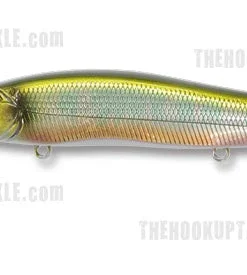 Megabass Ito Vision 110 Plus 1